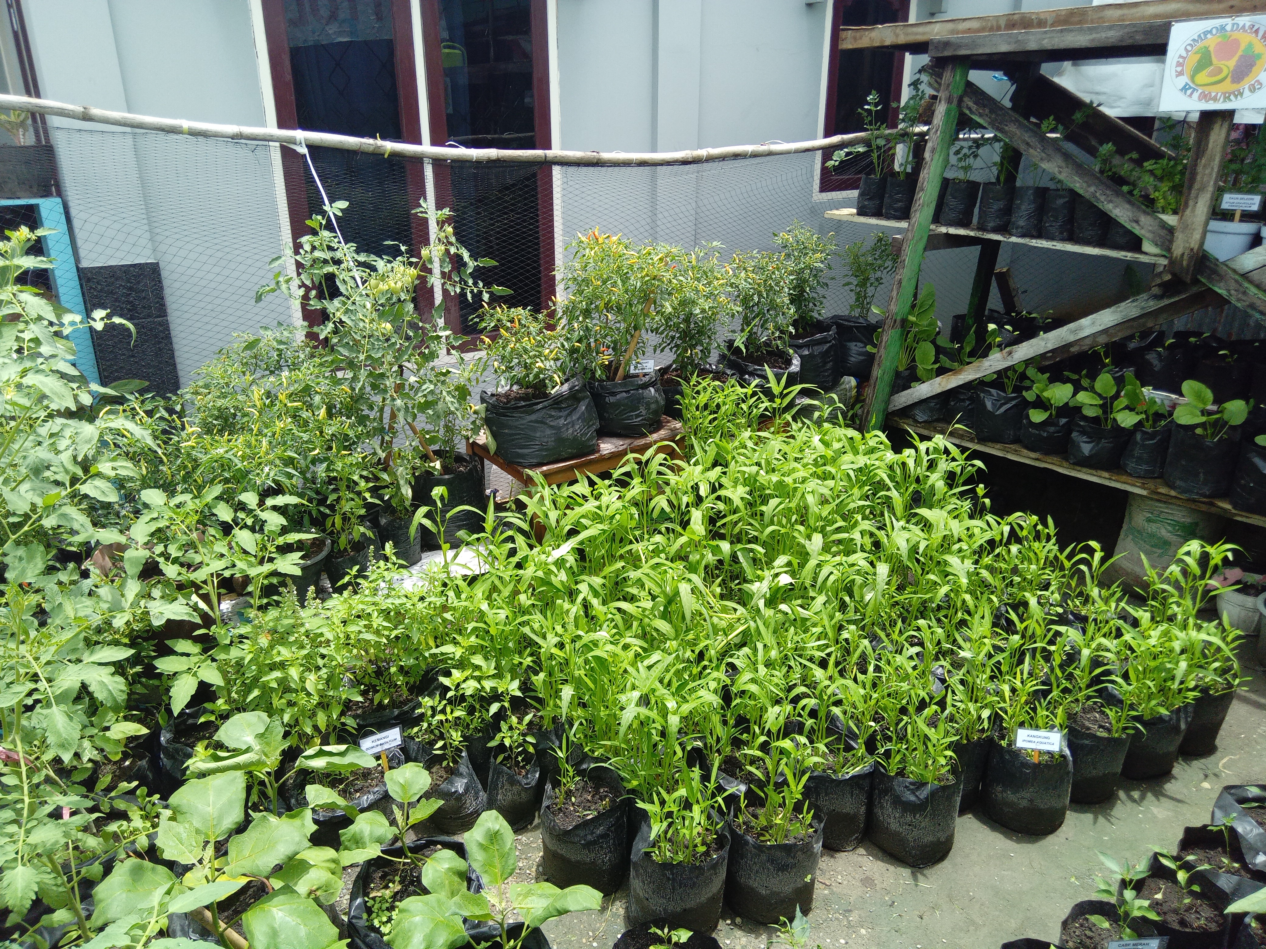 Lomba Dasa Wisma Pemanfaatan Pearangan